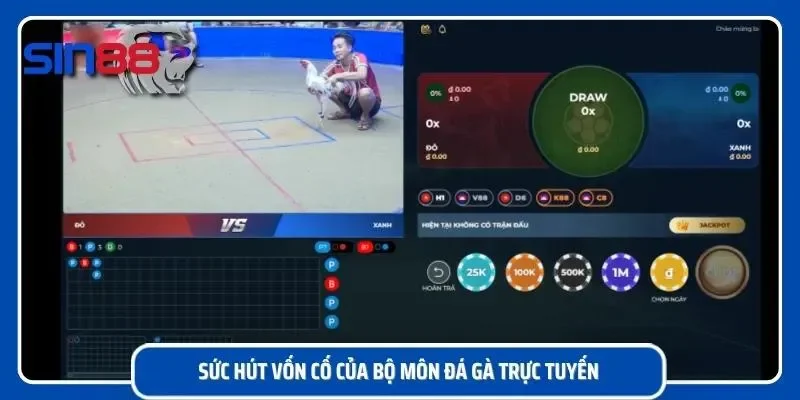 Tìm hiểu vì sao nơi đây là sảnh được truy cập kích thích
