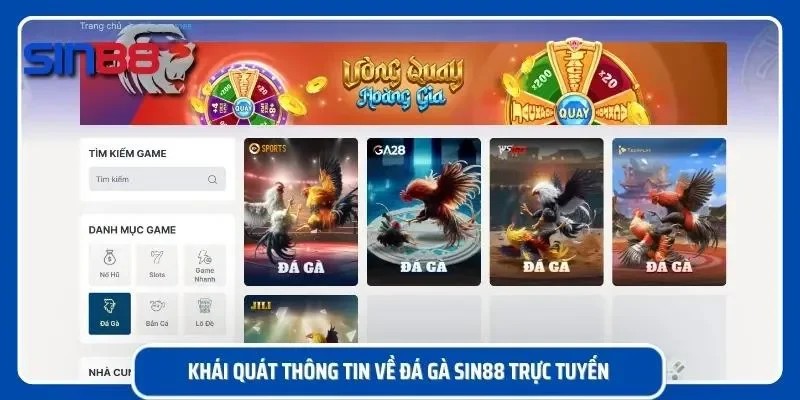 Tổng quan chi tiết về sảnh chọi kê trực tuyến