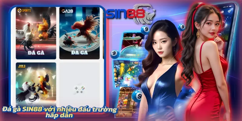 Các trận tranh tài sôi động mang đến bầu không khí kịch tính và cuốn hút liên tục